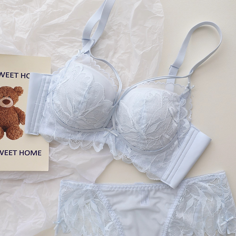 الفرنسية الظهر حديقة الملابس ا - مراجعة Underwire Bra Padded وسعره